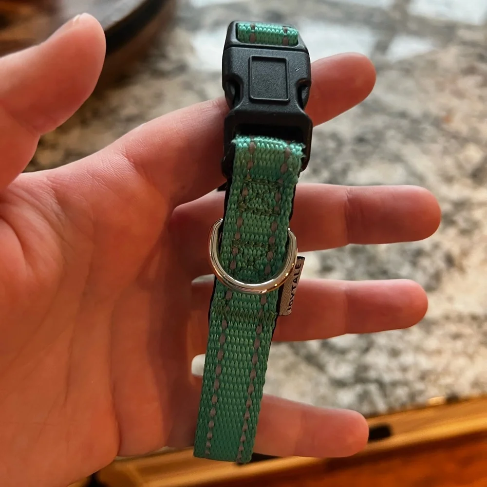 Dog Collar Size Small - Picture 3 of 4